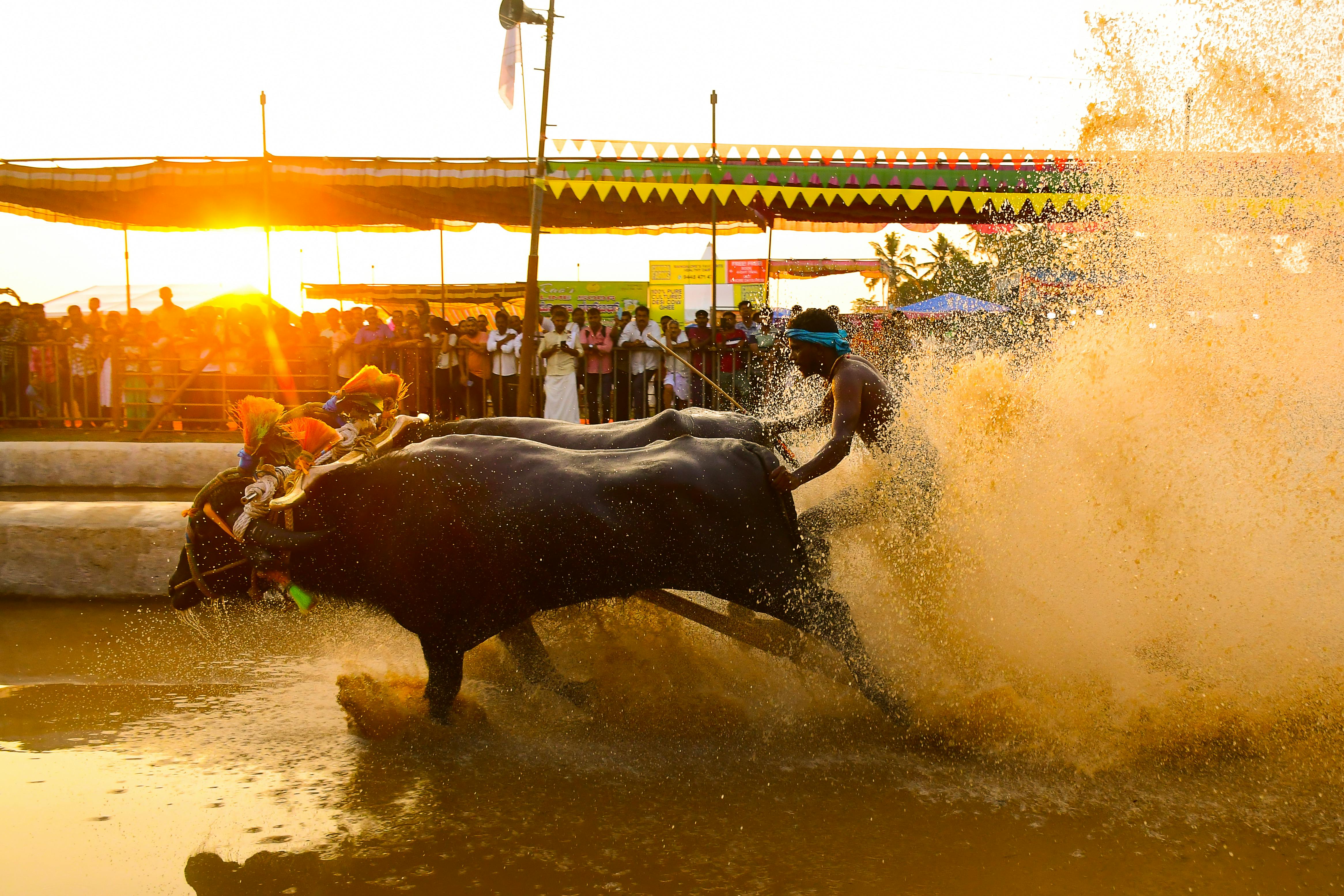 Mangalore