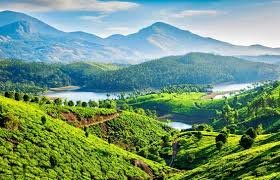 Hill Station Packages